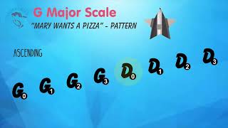 Fingerobics Violin Class Program  Beginner G Major Scale quotMary Wants A Pizzaquot  with Preparation [upl. by Mylan]