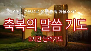 축복의 말씀 3시간 기도 듣는기도 축복기도 아침기도 [upl. by Hescock]