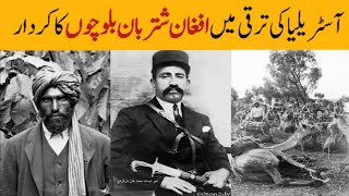 History of Afghan Cameleers in the Aussie outback Who was Beja Darvaish amp Dost Muhammad  Furat TV [upl. by Egan]