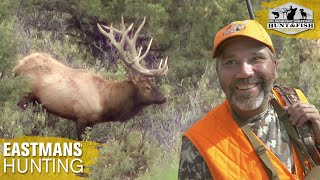 Elk Hunting Colorado  Hunting the Rut with a Rifle [upl. by Genesia]