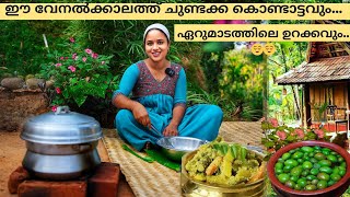 ഈ വേനൽക്കാലത്ത് ചുണ്ടക്ക കൊണ്ടാട്ടവും ഏറുമാടത്തിലെ ഉറക്കവും😌😌 [upl. by Lohman829]