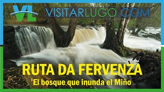 💮 RUTA DA FERVENZA el bosque que inunda el río Miño [upl. by Etnovaj]