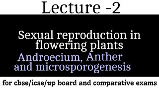 Sexual reproduction in flowering plan Androecium AntherMicrosporogenesisFormation of male gamete [upl. by Ettennal]