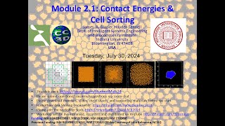 21 Contact Energy and Cell Sorting James Glazier [upl. by Irakuy526]