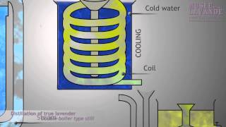 True Lavender  distillation scheme animated [upl. by Banna359]