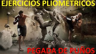 EJERCICIOS PLIOMÉTRICOS POTENCIA PEGADA EN GOLPES DE PUÑO DEPORTES CONTACTO BOXEO ARTES MARCIALES [upl. by Aitas41]