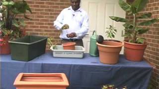 Growing Vegetables in Containers [upl. by Bottali]