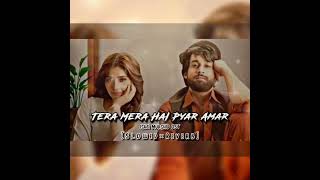 Tera Mera Hai Pyar Amar Slowed Reverb [upl. by Joselyn160]