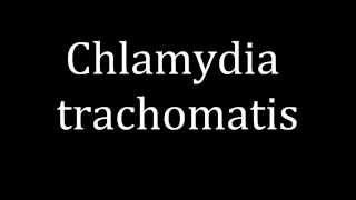 How to pronounce Chlamydia trachomatis [upl. by Eitak]