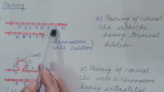 Chromosomal Aberration  Part 1 Deletion and Duplication Genetics [upl. by Suzi]