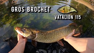 Gros brochet au VATALION 115 F Megabass en float tube [upl. by Anoerb]