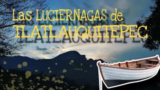 Avistamiento de LUCIERNAGAS desde un BOTE en TLATLAUQUITEPEC  Nash D [upl. by Enylrac]