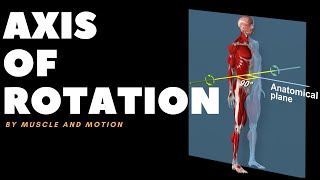 Understanding Axes of MovementRotation [upl. by Oicanata]