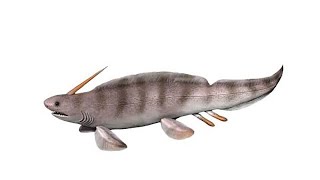 Devonian Period Xenacanthus shark Sounds [upl. by Fulbright]