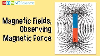 Magnetic Fields – Observing Magnetic Force [upl. by Zora239]