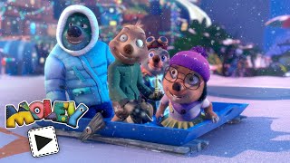 📖✨ The Abominable Snowmole  Moley  Family Fun Cartoons [upl. by Jaclyn584]