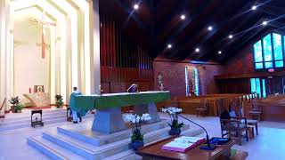 St Raymond Menlo Park Live Stream [upl. by Eirak]