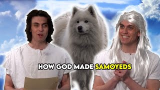 God Makes Samoyeds [upl. by Falzetta689]