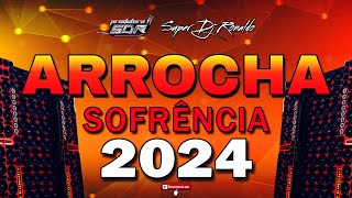 ARROCHA E SOFRÊNCIA 2024  SUPER DJ RONALDO [upl. by Osterhus651]