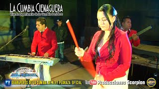 Nery Pedraza y los Guaraperos de la Cumbia 💥 La Cumbia Cienaguera [upl. by Lanita60]