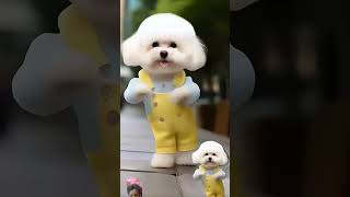 Cute 🥰🥰 Pappy dance funny Moments 🥰💝 dance funny puppy cute bhojpuri [upl. by Enyahs296]