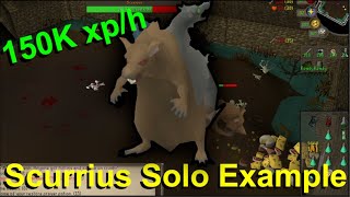 OSRS Scurrius Solo Kill Example with Scythe of Virtur [upl. by Stambaugh922]