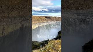 Dettifoss waterfall in Iceland the most powerful waterfall in Europe shorts iceland waterfall [upl. by Lareine]