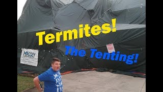 My Houses Termite Tenting [upl. by Oinoitna]