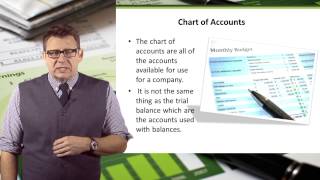 Unadjusted Trial Balance [upl. by Malvin]