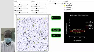 Molecule Movement Across a Semipermeable Membrane simulation [upl. by Meehan]