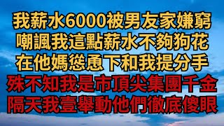 我薪水6000被男友家嫌窮，嘲諷我這點薪水不夠狗花，在他媽慫恿下和我提分手，殊不知我是市頂尖集團千金，隔天我壹舉動他們徹底傻眼！【煙雨夕陽】情感故事 爽文 為人處世 中老年心語 深夜讀書 [upl. by Duwalt]