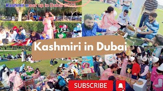 Kashmiri in Dubai Part2 🇦🇪🍁 Kashmiri Picnic in UAE 2023 kashmir dubai youtube video [upl. by Tnomad821]