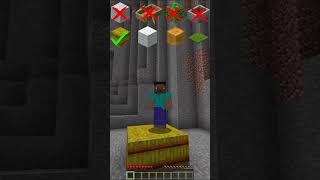 what blocks will save meminecraftshorts [upl. by Jamill]