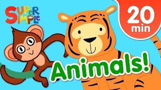 Our Favorite Animals Songs For Kids  Super Simple Songs [upl. by Flannery]