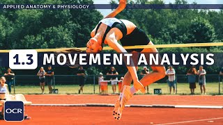 OCR GCSE PE  MOVEMENT ANALYSIS Levers Planes amp Axes  Applied Anatomy amp Physiology 13 [upl. by Alyk]