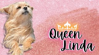 Queen Linda aka Judgey Judy 👑 [upl. by Prudie]