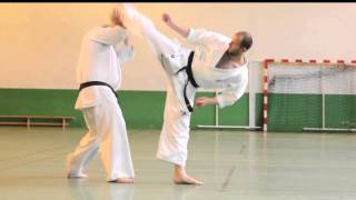 Karate Kyokushinkai  enchainements de combat par Alexandre PICHKUNOV [upl. by Elsa707]