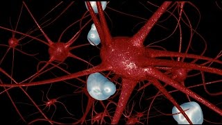 modeling a neuron or nerve cell  3D annimation with cinema 4d [upl. by Esirehc]