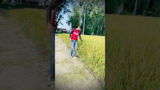 Kheti badi punjabisong punjabi punjabisong song newsong farmer khetibadi mandeepsatmukhiya [upl. by Ecadnarb]