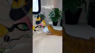 Showing my Bearded Dragon The ✨Dragon Puppets✨ dragonpuppet paperdragon [upl. by Aerona]