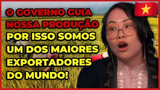 Vietnamita explica como Funcionam as Fazendas Comunitárias no Vietnã 🇻🇳 [upl. by Aerdnat613]