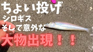 ちょい投げでキスも意外な大物も！！立つ天秤スマッシュと遊ぼう [upl. by Eirret]