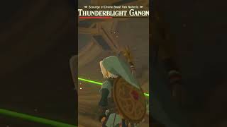 THUNDERBLIGHT GANON BOSS FIGHT zelda botw gaming nintendo shorts [upl. by Polinski]