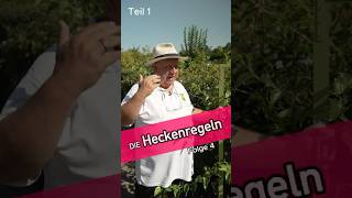 Die Heckenregeln Teil 1  Kleingartensheriff [upl. by Sculley472]