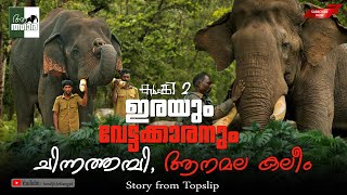 ഇരയും വേട്ടക്കാരനും Anamala Kaleem  Chinnathambi  Topslip Elephant Camp  Kumki 2 [upl. by Perce71]