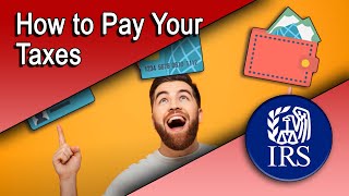 How to Pay Your Taxes [upl. by Pish715]