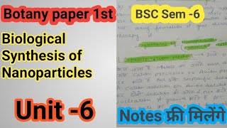 BSC 3 year 6 semester botany paper 1st topic Biological synthesis of nanoparticles L1 [upl. by Jennie]