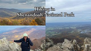 A Day In Shenandoah National Park  Easy Hiking Stony Man Upper Hawksbill Trail [upl. by Eda]