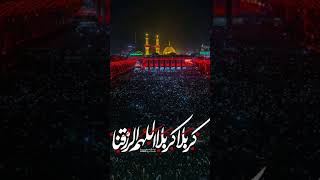 Karbala Mashallah nadeemsarwar shortvideo viralvideo plzsubscribemychannel [upl. by Sivolc340]