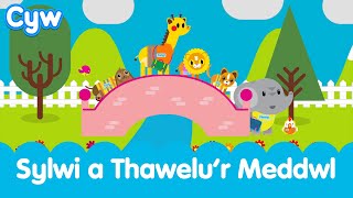 Cân Sylwi a Thawelur Meddwl  Welsh Childrens Mindfulness Calm Breathing Song S4C [upl. by Stacia]